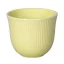 Loveramics 150ml Embossed Tasting Cup (Sand)