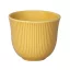 Loveramics 150ml Embossed Tasting Cup (Yellow)