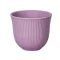 Loveramics 250ml Embossed Tasting Cup (Purple)