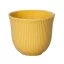 Loveramics 250ml Embossed Tasting Cup (Yellow)