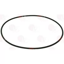 Bachi O-RING 03425