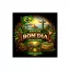 Brazil Bom Dia Signature Scr. 17/18 Raw Coffee 250 g