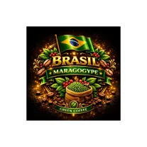 Brazil Maragogype Natural Specialty 87p Raw Coffee 1000 g