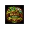 Brazil Santos Scr. 17/18 fine cup Raw Coffee 1000 g