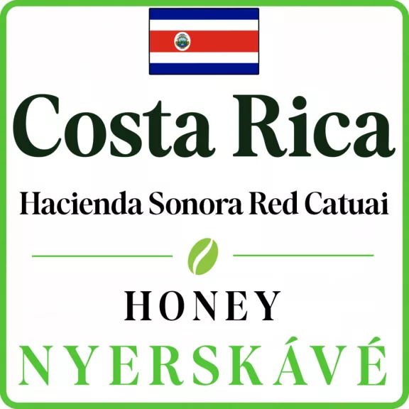 Costa Rica SHB EP La Pastora Tarrazu washed Raw Coffee 1000 g Costa Rica SHB EP La Pastora Tarrazu washed Raw Coffee 1000 g