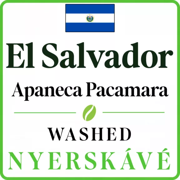 El Salvador Apaneca Pacamara washed Specialty-85p Raw Coffee 1000 g El Salvador Apaneca Pacamara washed Specialty-85p Raw Coffee 1000 g