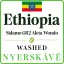 Ethiopia washed Sidamo GR2 Aleta Wondo Raw Coffee 1000 g