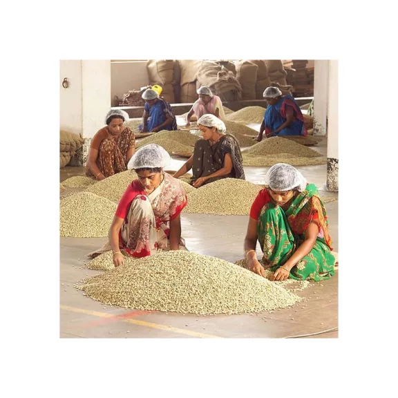 India Monsooned Malabar AAA Raw Coffee 1000 g