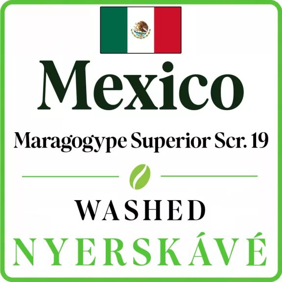 Mexico Maragogype Superior Scr. 19 washed Raw Coffee 1000 g Mexico Maragogype Superior Scr. 19 washed Raw Coffee 1000 g