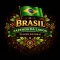Brazil Fazenda da Lagoa Specialty 84p Roasted Coffee 250g-KS