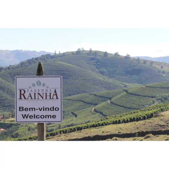 Brazil Fazenda da Lagoa Specialty 84p Roasted Coffee 250g-KS
