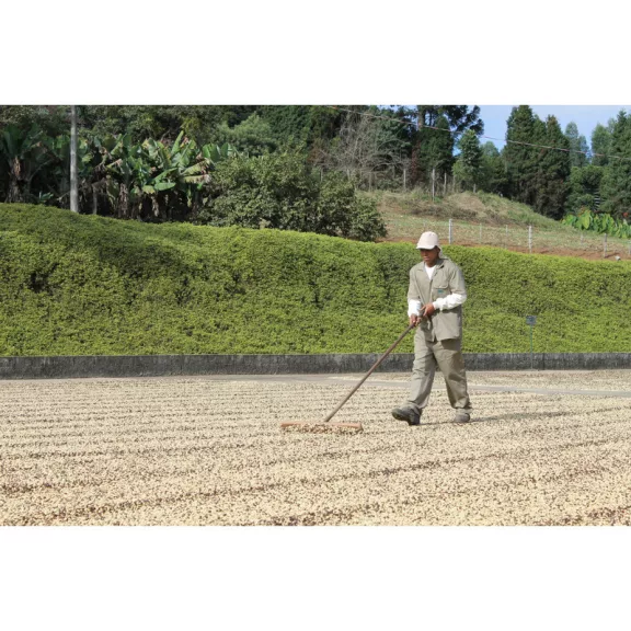 Brazil Fazenda da Lagoa Specialty 84p Roasted Coffee 250g-KS