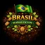 Brazil Maragogype Natural Specialty 87p Roasted Coffee 500g-KV