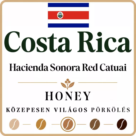 Costa Rica La Pastora Tarrazu Roasted Coffee 1000g-ML Costa Rica La Pastora Tarrazu Roasted Coffee 1000g-ML