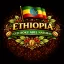 Ethiopia Guji Boku Abel  Natural Roasted Coffee 250g-Filter