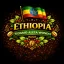 Ethiopia Sidamo Aleta Wondo Pörkölt kávé 1000g-Filter