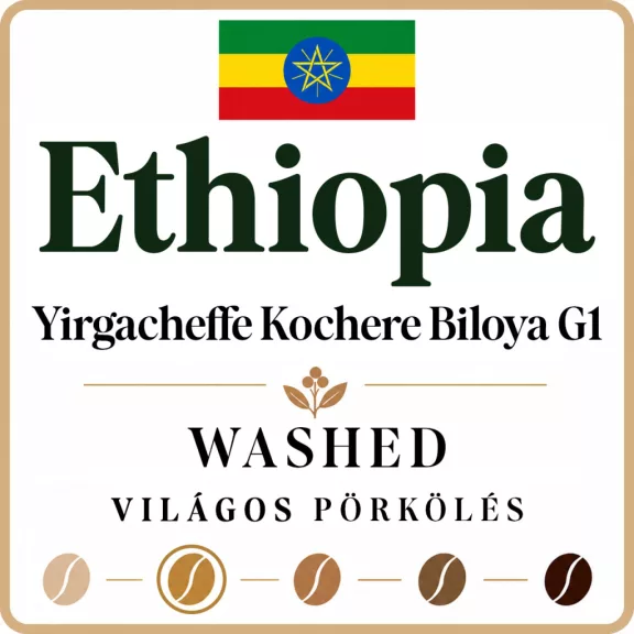 Ethiopia washed Yirgacheffe Konga G1 Roasted Coffee 500g-V Ethiopia washed Yirgacheffe Konga G1 Roasted Coffee 500g-V