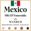 Mexico SHG Organic EP Berilo Specialty-84p Roasted Coffee 500g-KS