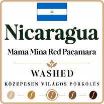   Nicaragua Mama Mina Red Pacamara Specialty-88p Roasted Coffee 1000g-KV