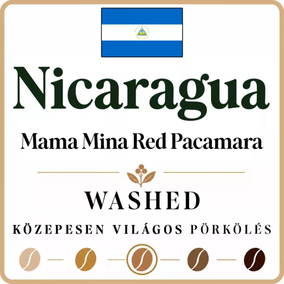 Nicaragua Mama Mina Red Pacamara Specialty-88p Roasted Coffee 250g-KV Nicaragua Mama Mina Red Pacamara Specialty-88p Roasted Coffee 250g-KV