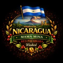   Nicaragua Mama mina Red Pacamara Specialty-88p Roasted Coffee 125g-KV