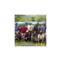 PNG Hai tambu Roasted Coffee 500g-KS
