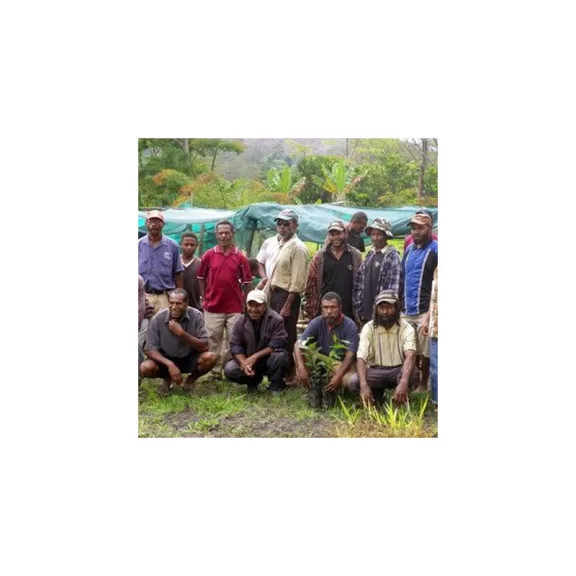 PNG Hai tambu Roasted Coffee 500g-KS