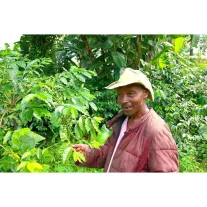   Tanzania AA Utengule Estate Honey Specialty 86p Roasted Coffee 125g-KV