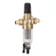 BWT Protector Mini HWS CR 1/2" water filter 810548