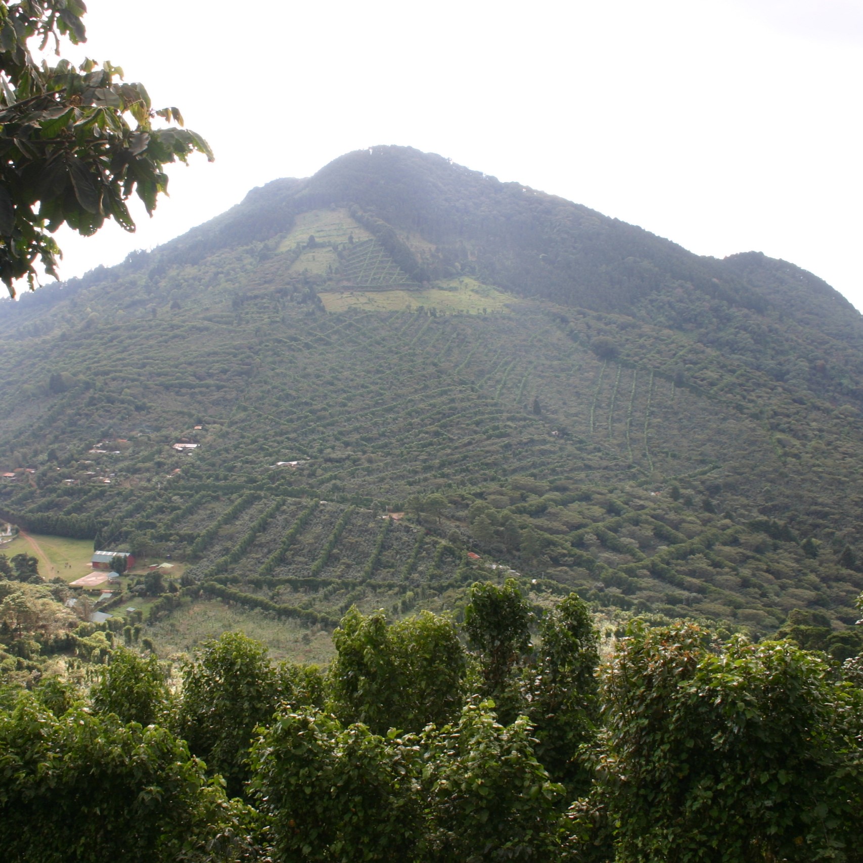ElSalvador-Apaneca-20-scaled.jpg