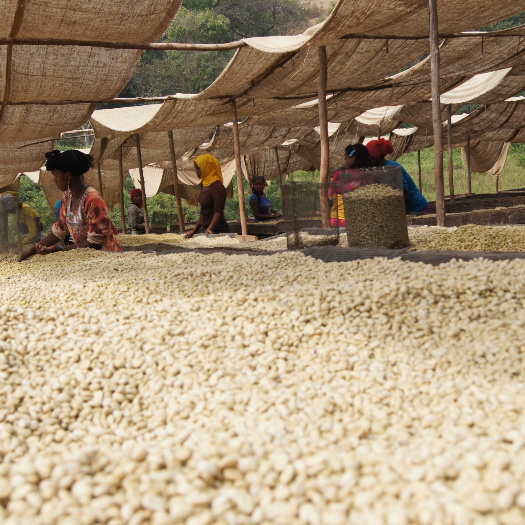 Ethiopia-2014-HCB-182-scaled.jpg