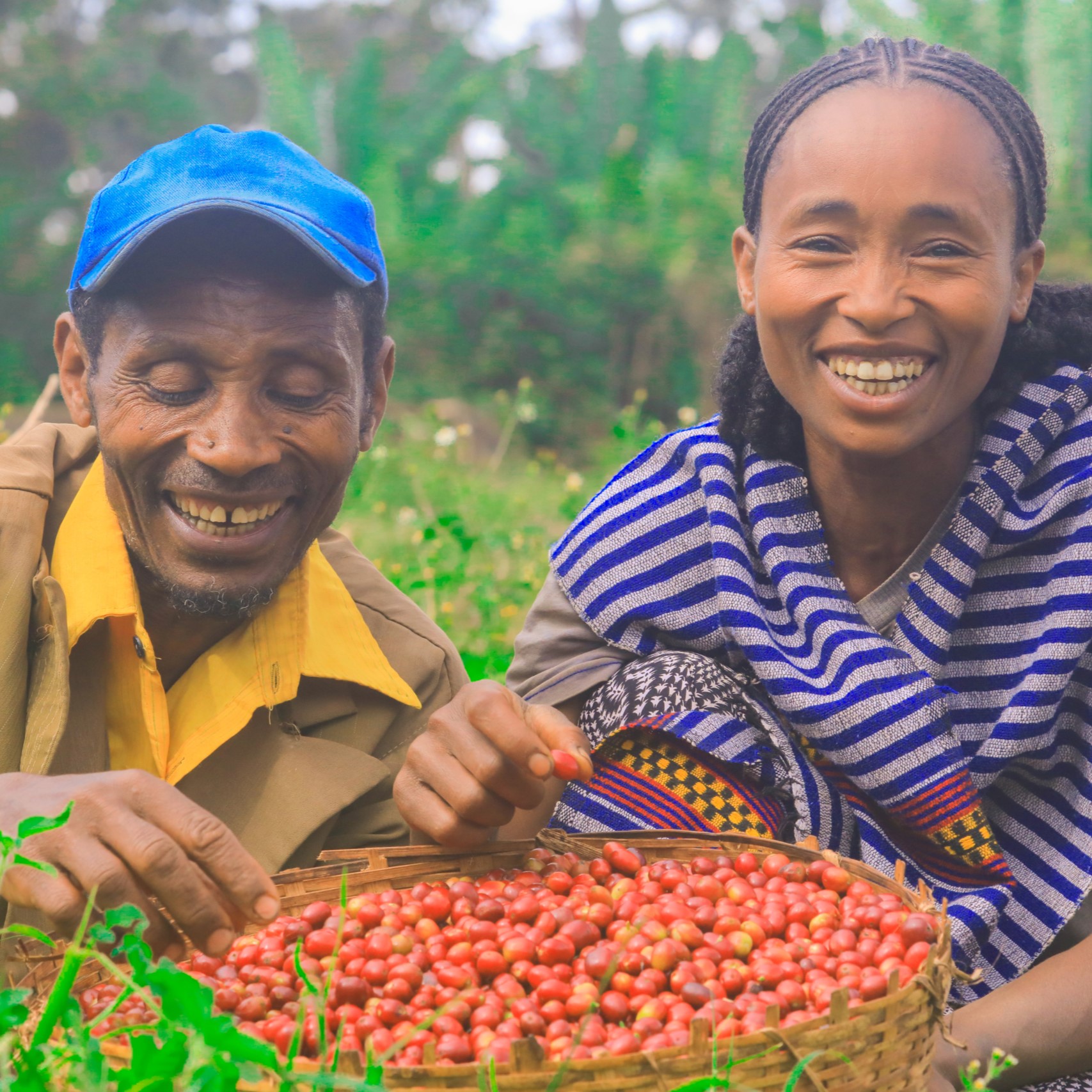 Ethiopia-Yirgacheffe-5-scaled.jpg