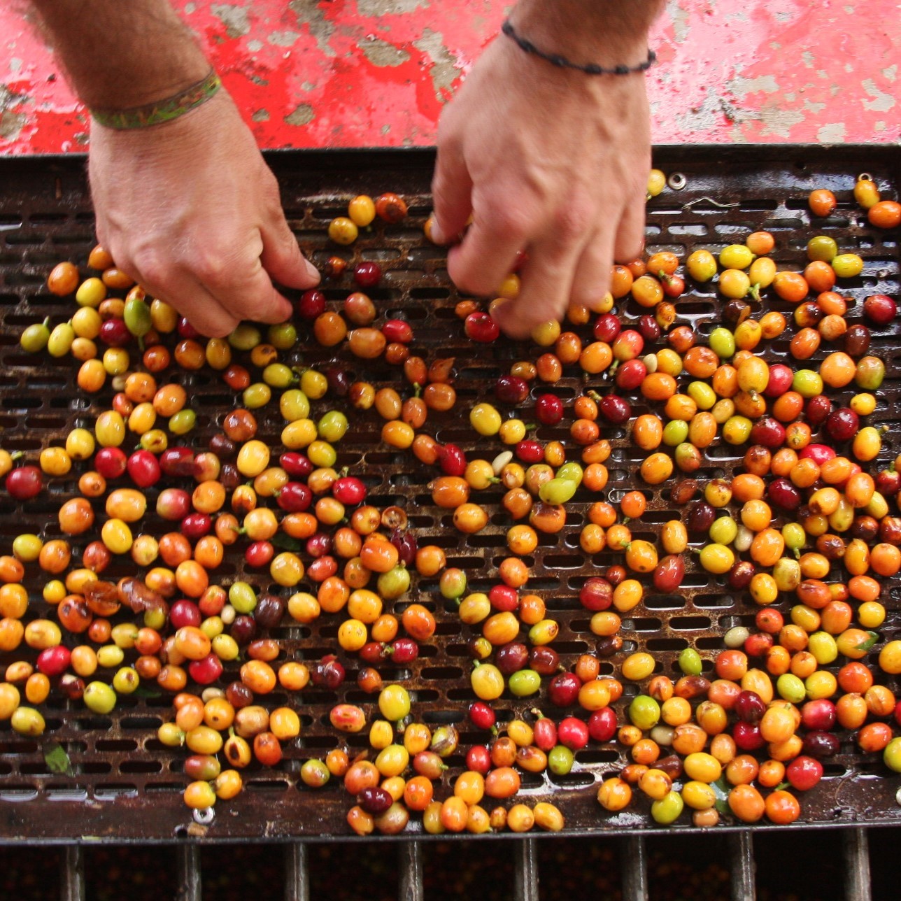 Colombia_MG_-321.jpg