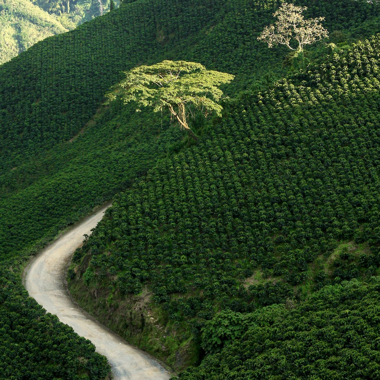 Colombia_MG_2205-16.jpg