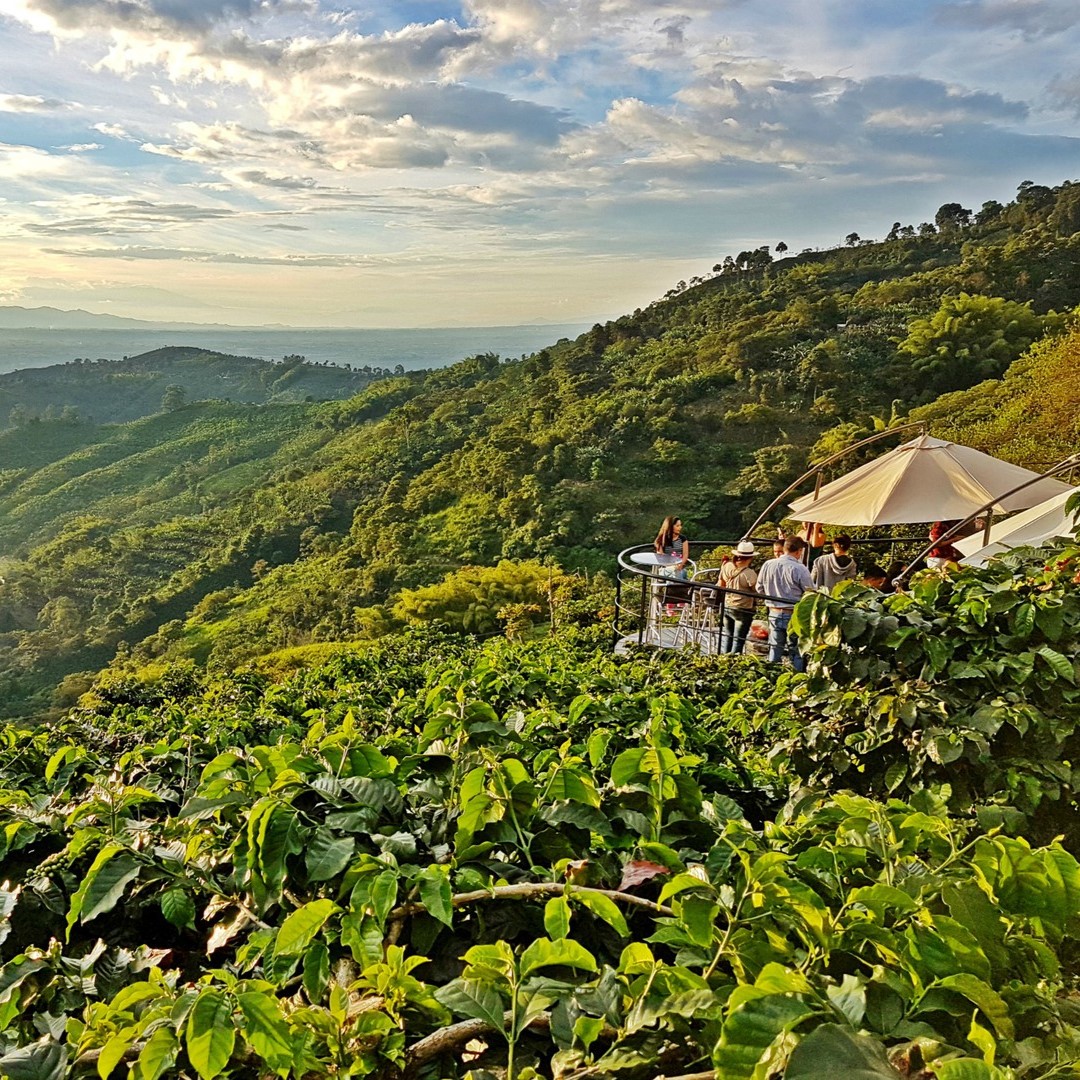 finca_de_cafe.jpg